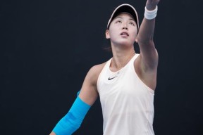 九游体育-莎拉波娃遭遇七连败，瑞士队教练面临压力！的简单介绍